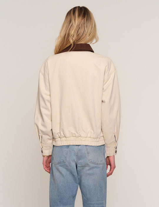 halli jacket