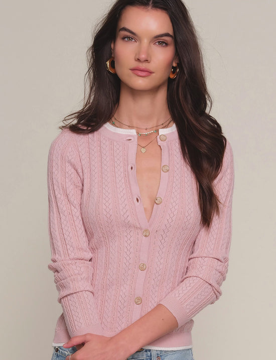 tommy cardi