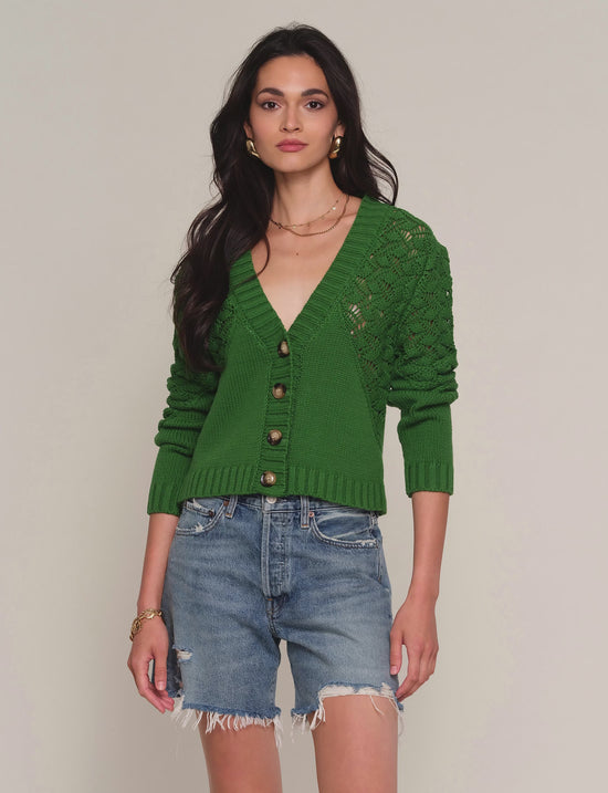 amalda cardi